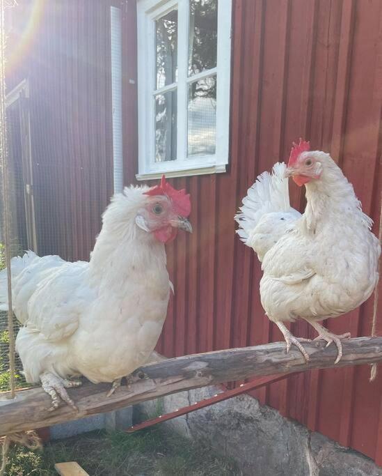 Gamla Ersgarden I Ersmark Умео Екстер'єр фото